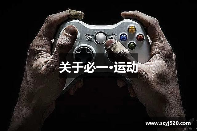 关于必一·运动